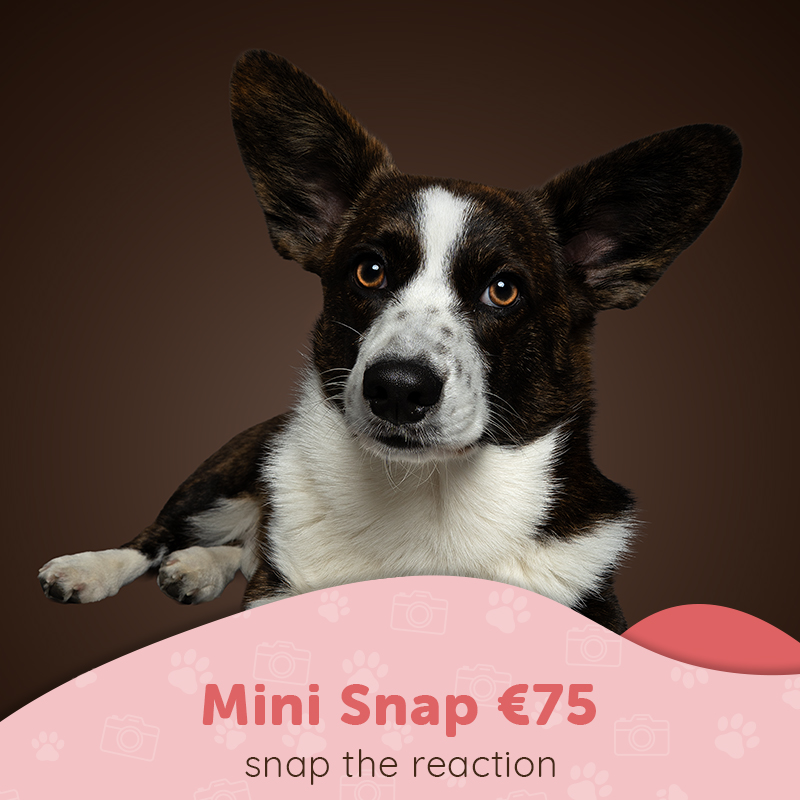 MINI SNAP